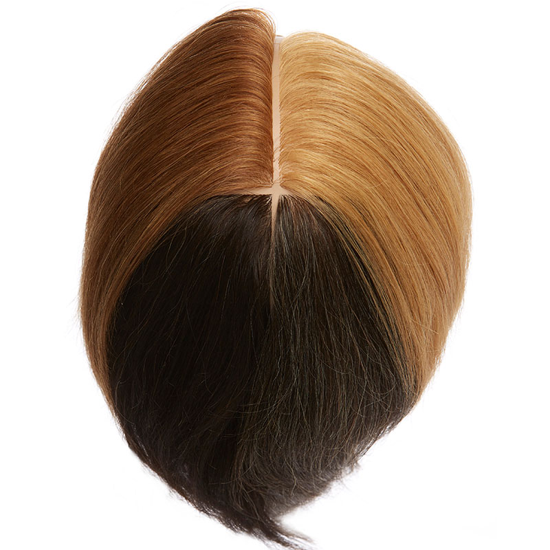 Pivot Point Hair Mannequin Color Quadrant