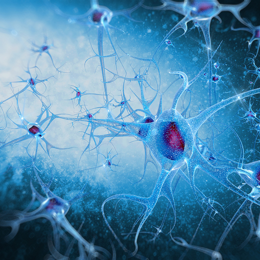 digital illustration Human brain cells neurons
