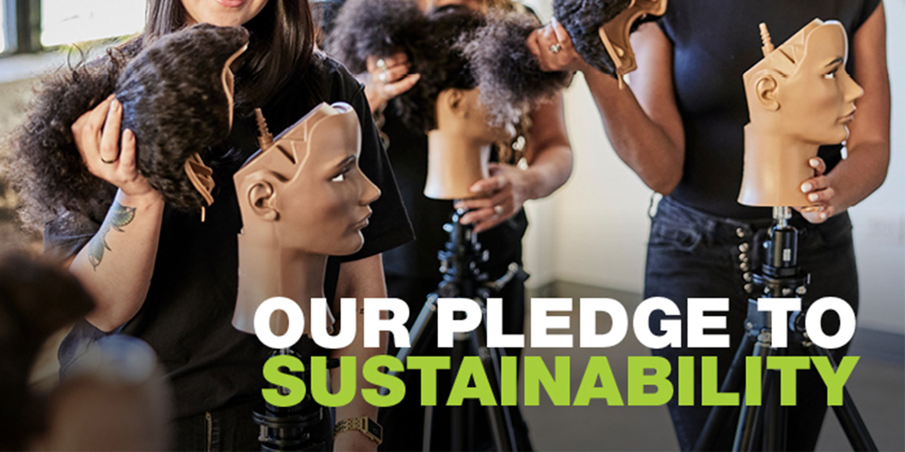 Our Pledge To Sustainability